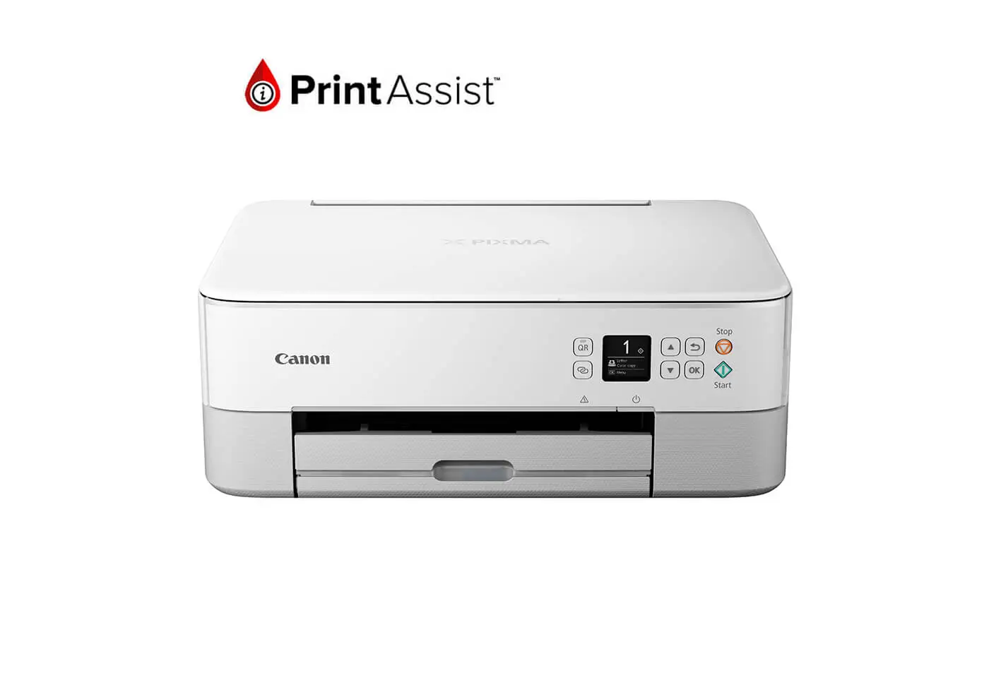 Reset almohadilla de impresora canon TS5365