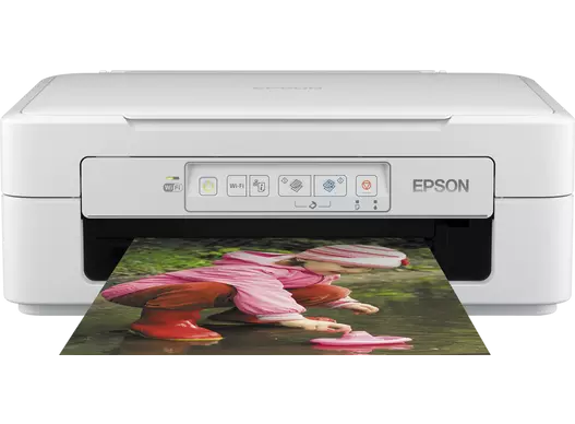 Reset Almohadillas Epson XP247 - Cómo Resetear Almohadillas Llenas